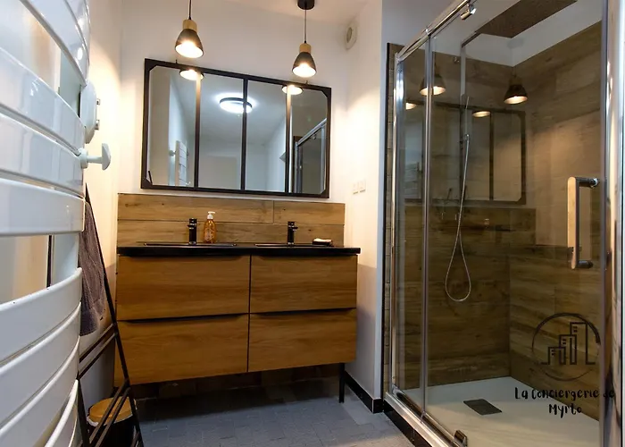 דירה Au Coeur Des Lices אלבי